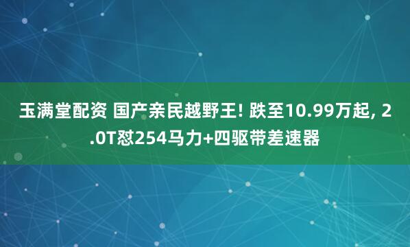 玉满堂配资 国产亲民越野王! 跌至10.99万起, 2.0T怼254马力+四驱带差速器