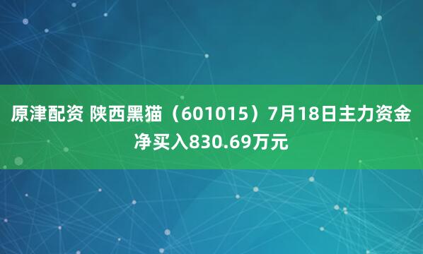 原津配资 陕西黑猫（601015）7月18日主力资金净买入830.69万元