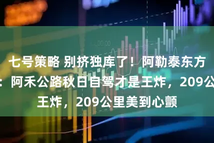 七号策略 别挤独库了！阿勒泰东方之星旅行社：阿禾公路秋日自驾才是王炸，209公里美到心颤
