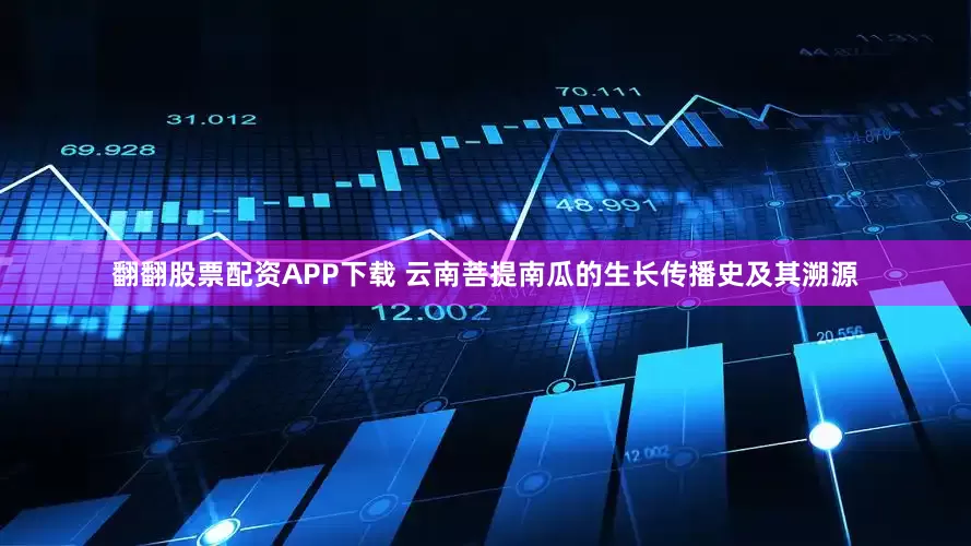 翻翻股票配资APP下载 云南菩提南瓜的生长传播史及其溯源